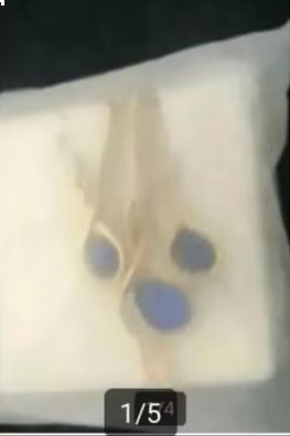 Casual Blue Green Gold diamond ketting en oorbellen Nieuw     